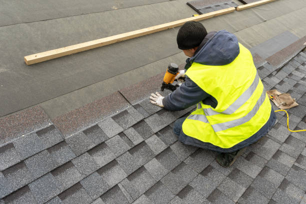 Best Roof Gutter Cleaning  in Lochsloy, WA